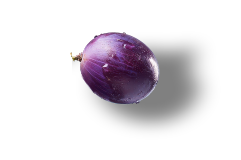 Traube